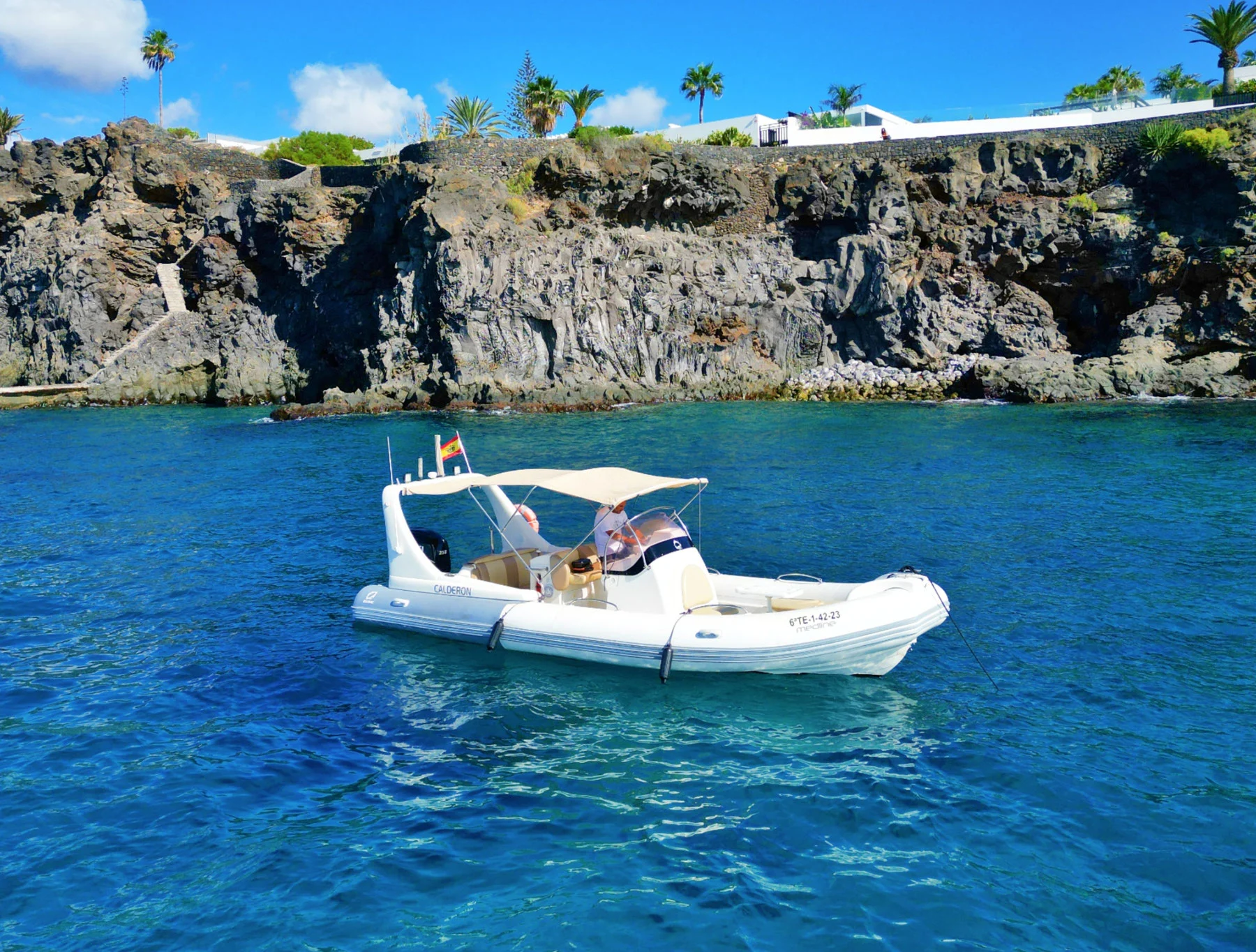 Ocean Friends Tours marine experiences