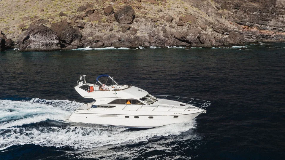 Dolphins & Relax private yacht