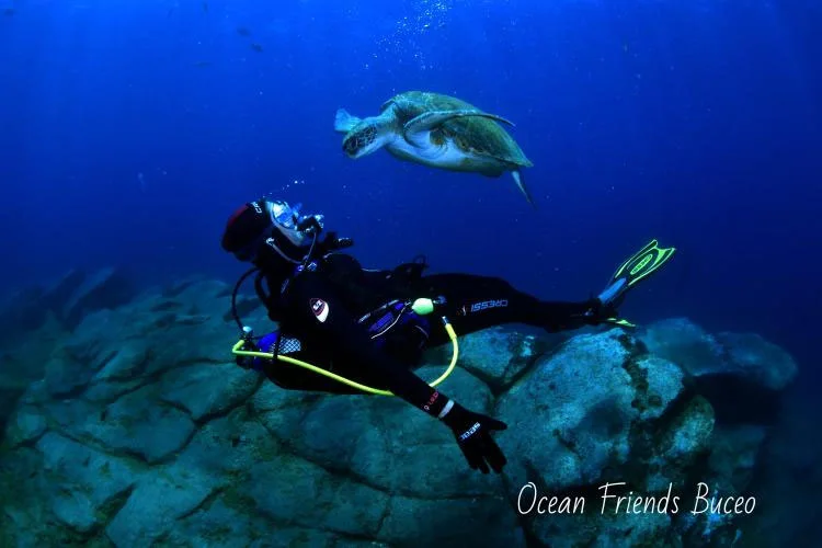 Scuba Diver course