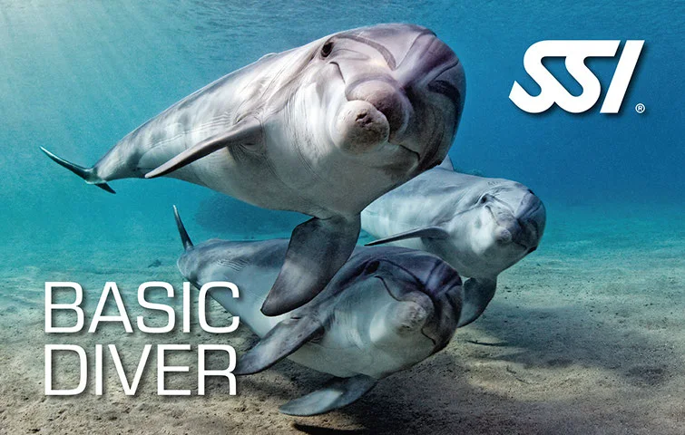 SSI Basic Diver course