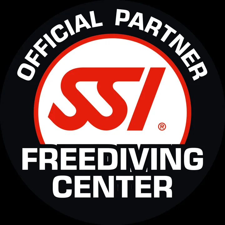 Freediving courses: levels 1, 2 and 3