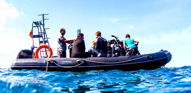 Boat trip with snorkelling, drinks and a snack