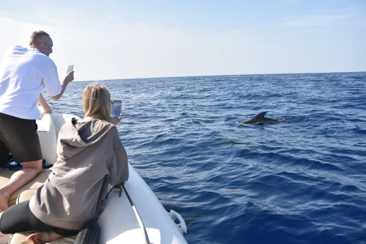 Passengers on a whale and dolphin watching trip
