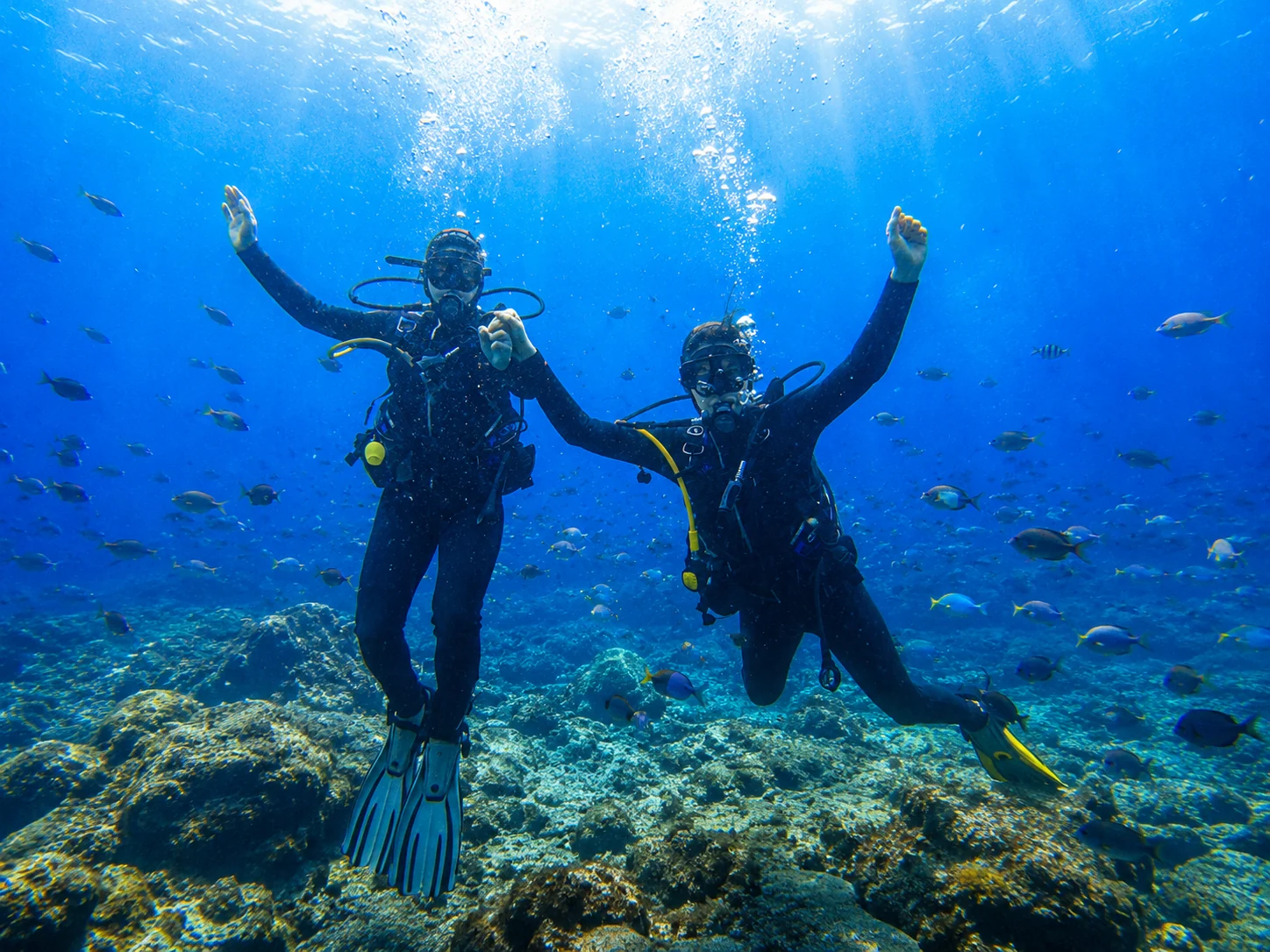 Two people diving near the seabed