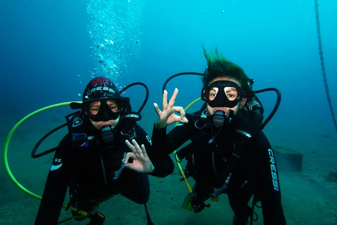 Ocean Friends Tours marine experiences