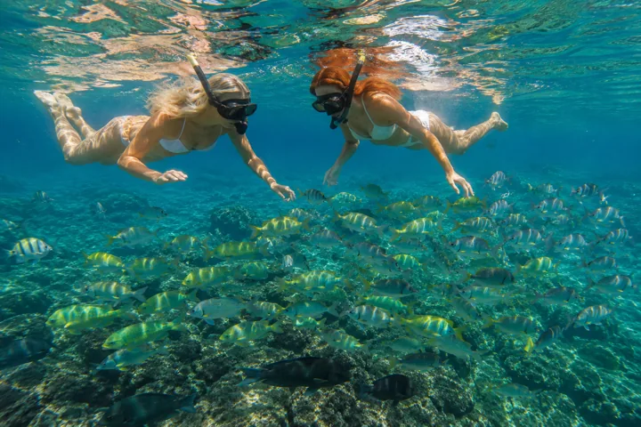 Dos personas practicando snorkel sobre el fondo marino